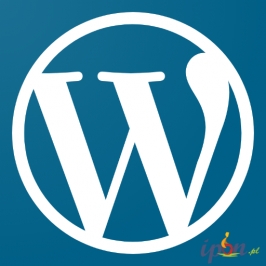Deweloper Wordpress / DIVI i Elementor